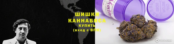 гидра Армянск