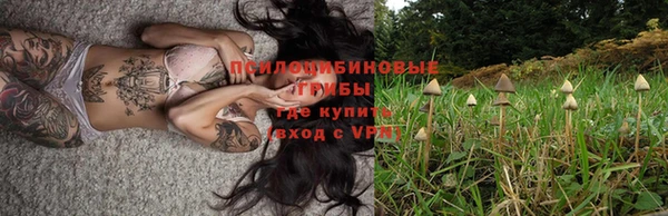 гидра Армянск